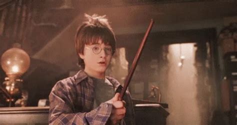 whorey potter|Whorey Potter and The Sorcerer’s Dick .gif by Lorna Mills.